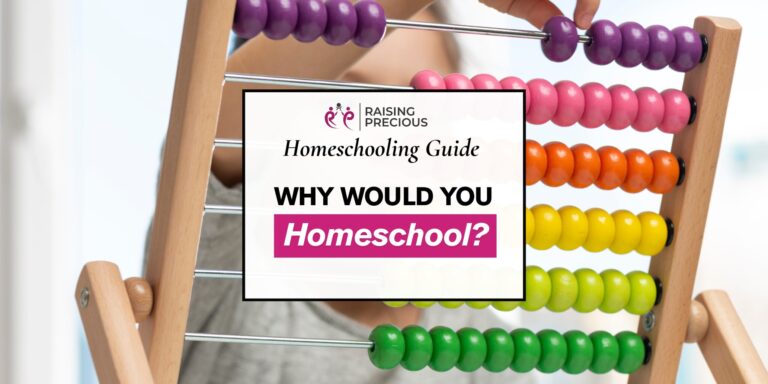 Why would you homeschool? Blog post