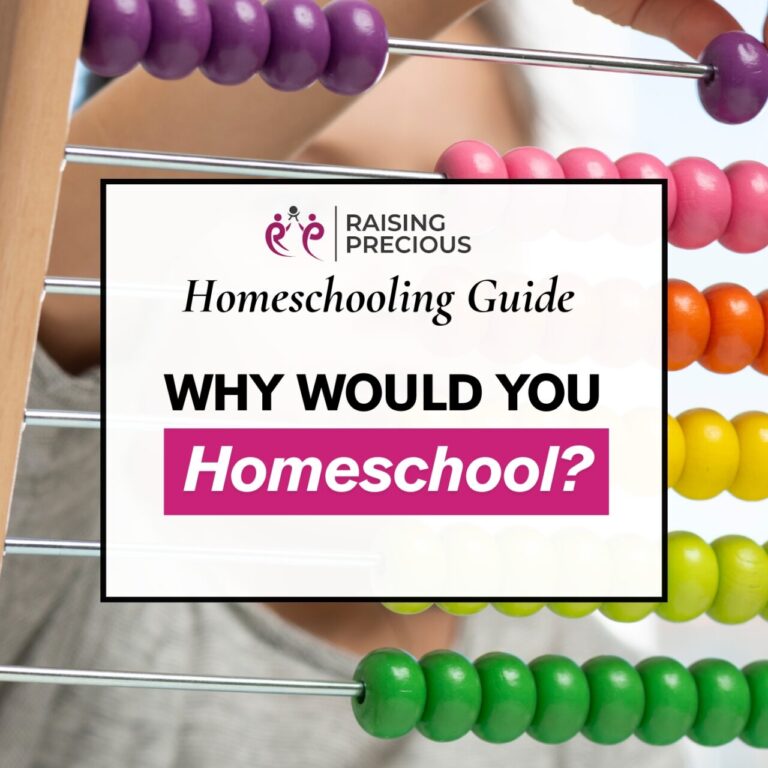 Why would you homeschool? Blog post