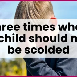 Essential life skills for homeschooling students | Blog post